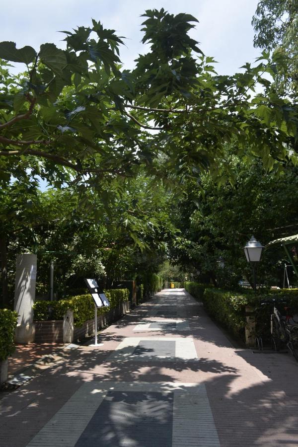 Hotel Riomar Sant Marti d'Empuries Dış mekan fotoğraf